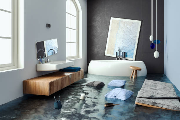 Best Commercial water damage restoration  in Ford Heights, IL