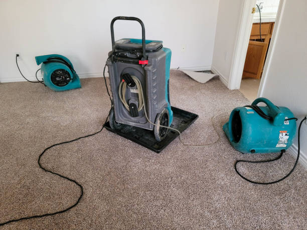 Best Fire Damage Restoration  in Ford Heights, IL