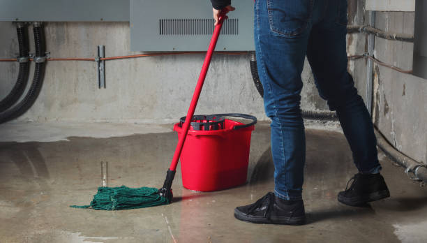 Best Water damage restoration near me  in Ford Heights, IL