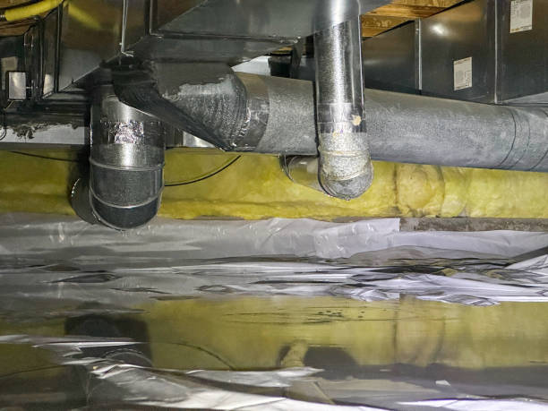 Best Basement water damage restoration  in Ford Heights, IL