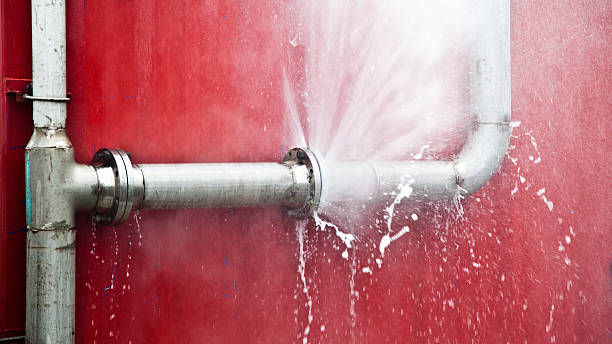 Best Water damage cleanup near me  in Ford Heights, IL
