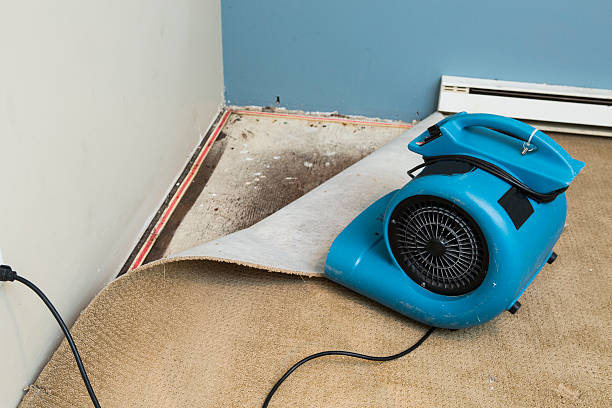 Best 24-hour water damage restoration  in Ford Heights, IL